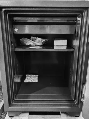 Yale YFM-695 Interior