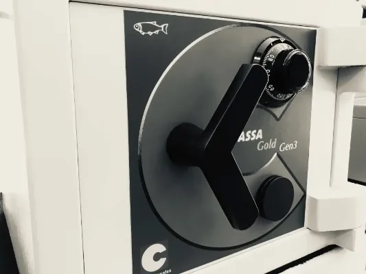 Chubb Cassa Gold Size 1